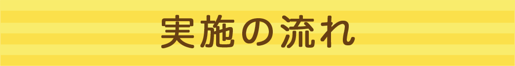 実施の流れ