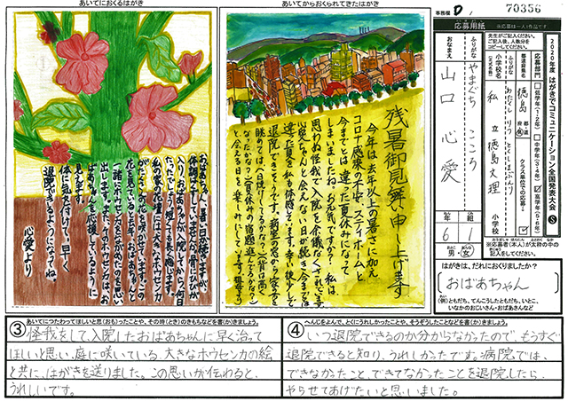 Ｄブロック優秀賞　徳島県　徳島文理小学校　６年　山口　心愛